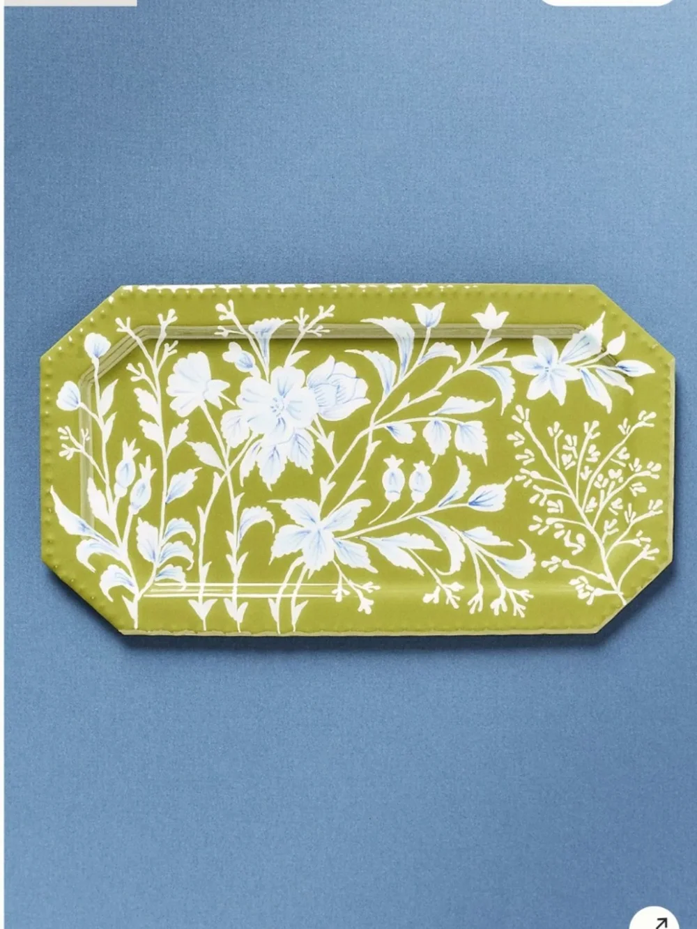 Anthropologie 